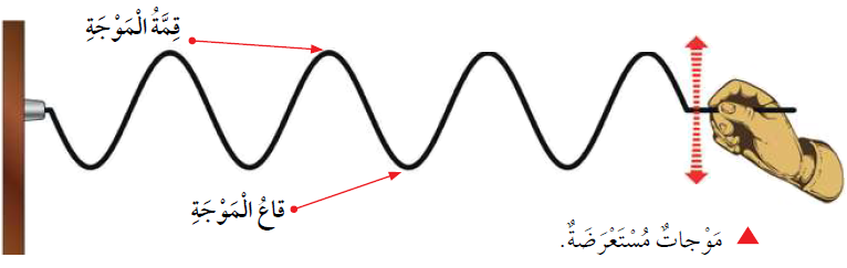الموجات الطولية تنتشر على شكل قمم وقيعان الموجات المستعرضة